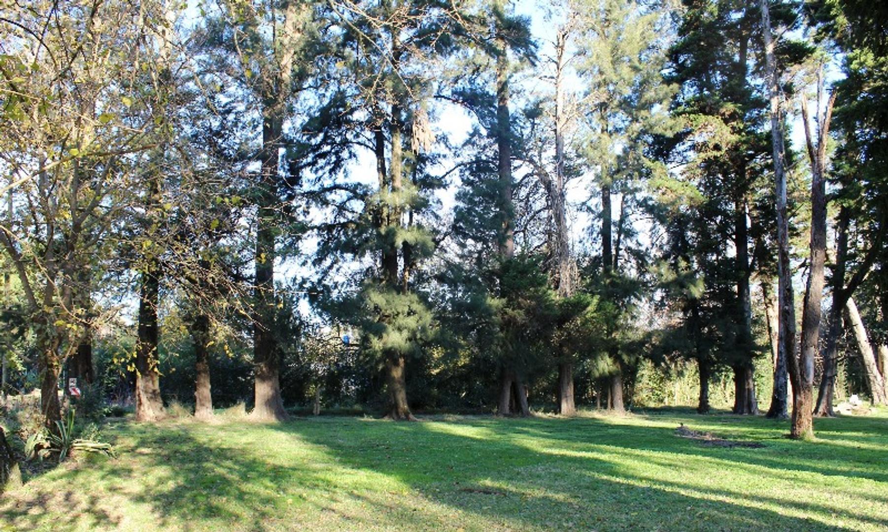 Terreno en Venta de 268,0 m2