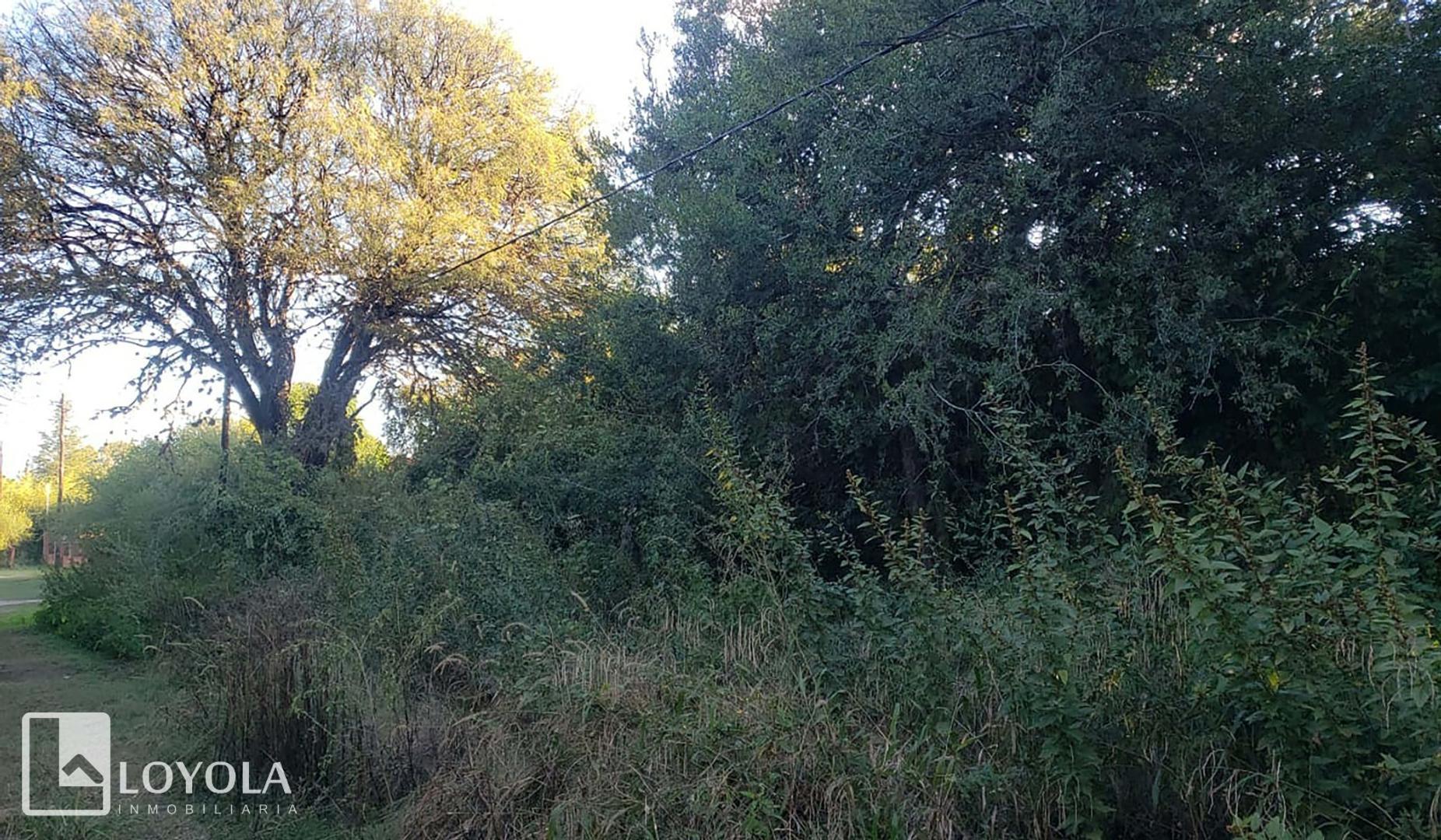 Terreno en Venta en Centro, USD 28.000