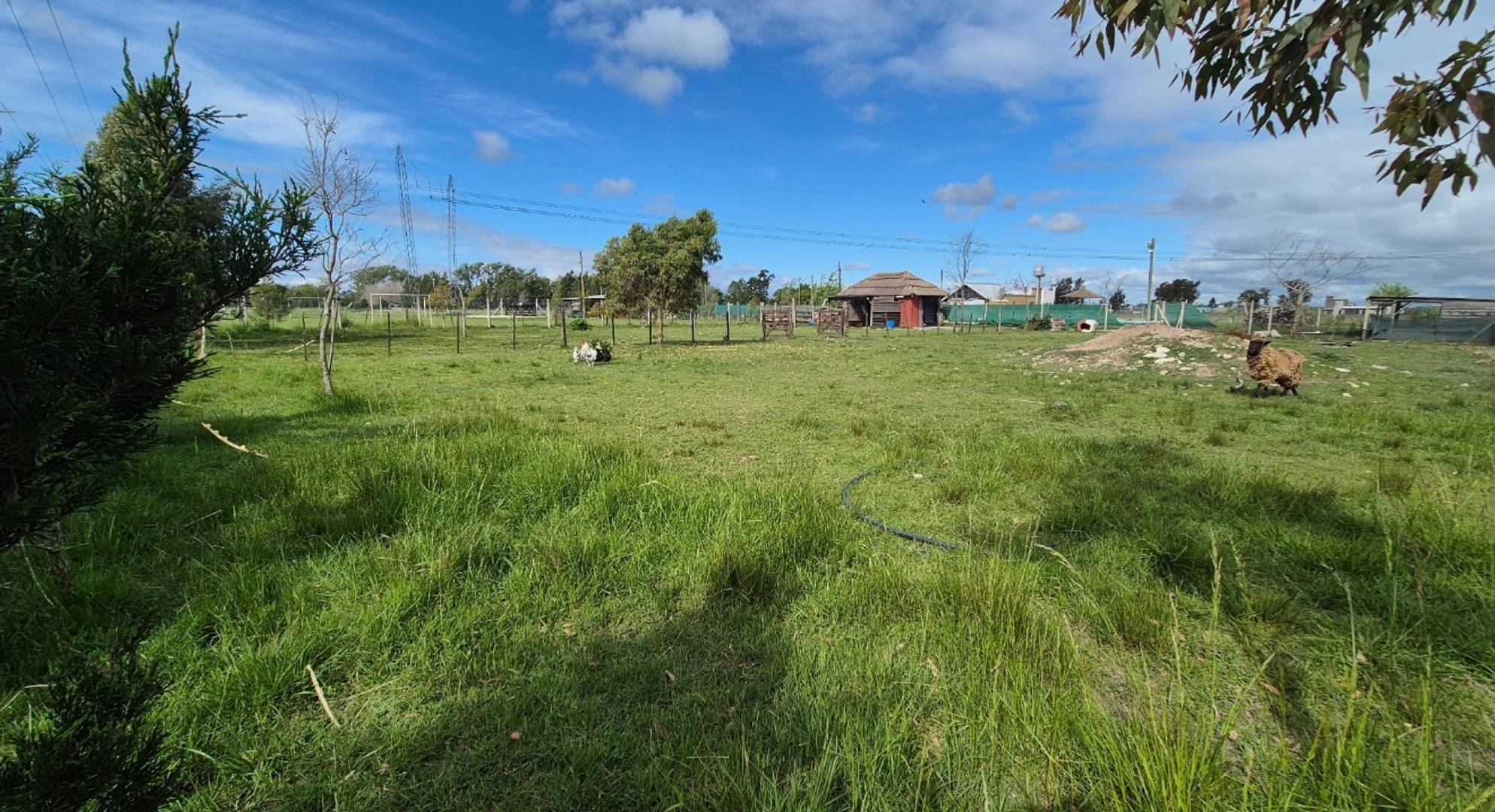 Terreno De 1800 Mts En Gomez Brandsen Ruta 2 Km 51.5