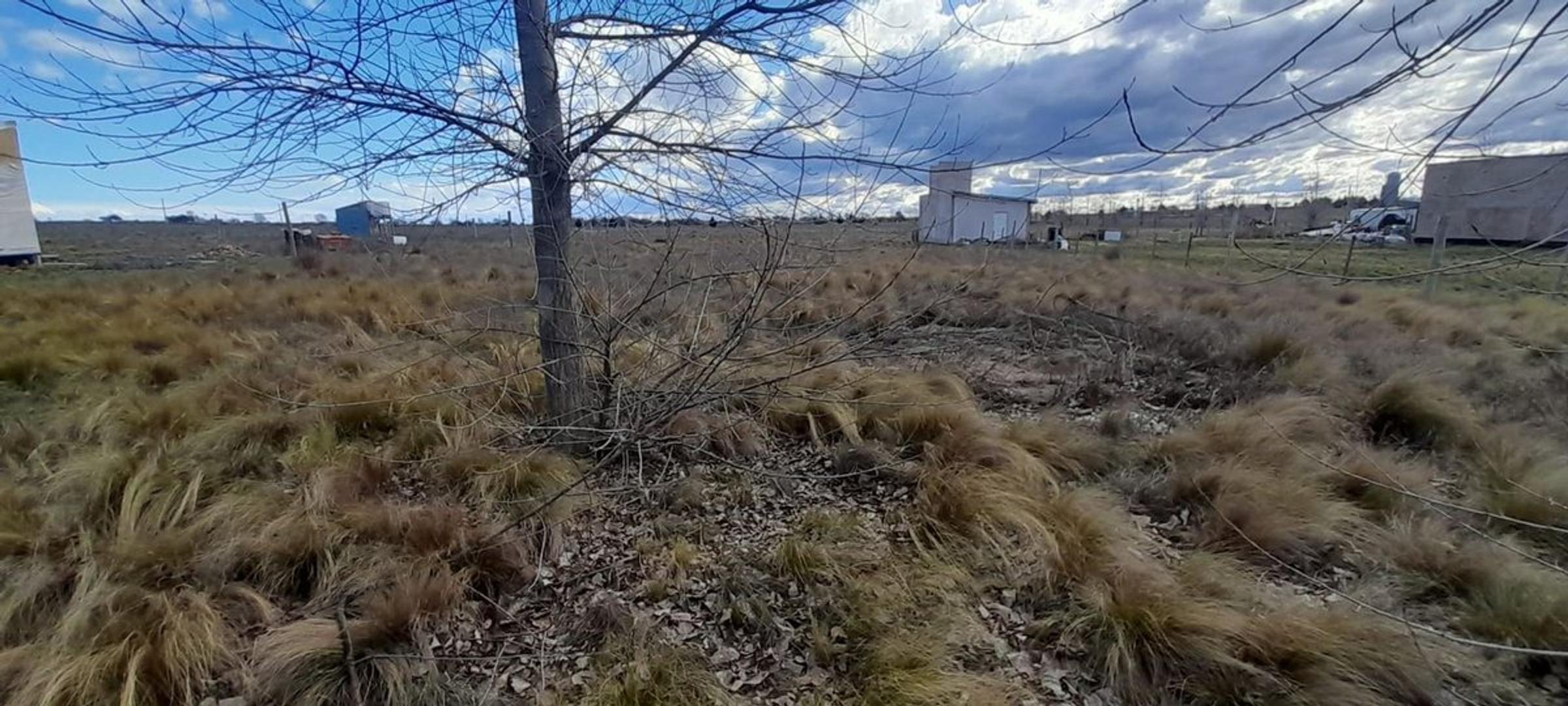 Terreno en Venta en Ataliva Roca, USD 7.500