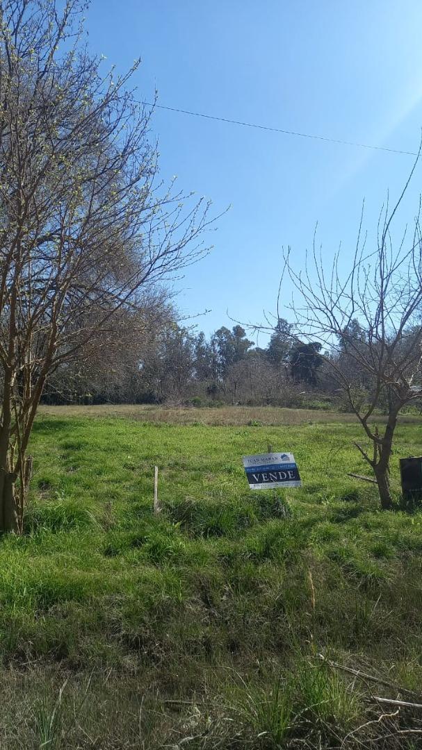 Terreno en Venta de 3750,0 m2