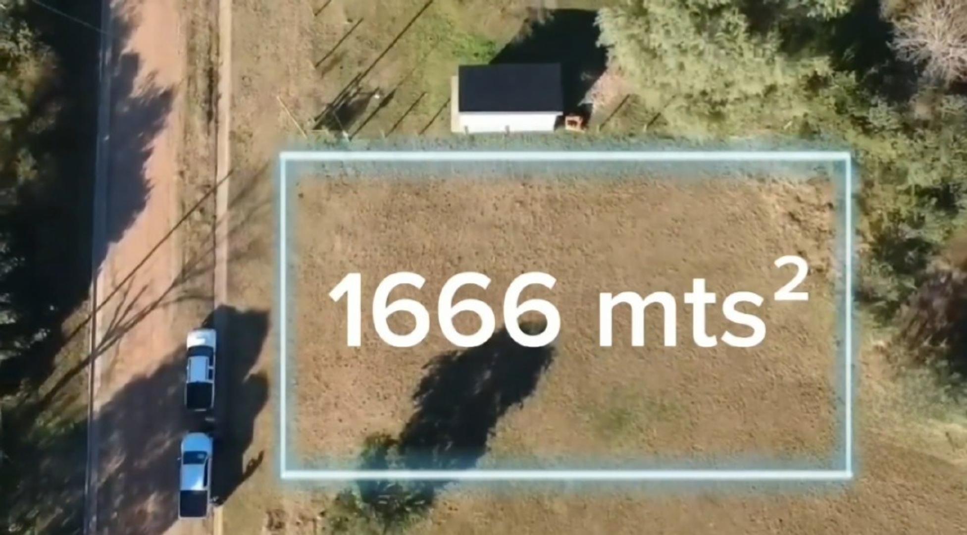 Rosa C. De Brassesco S/n