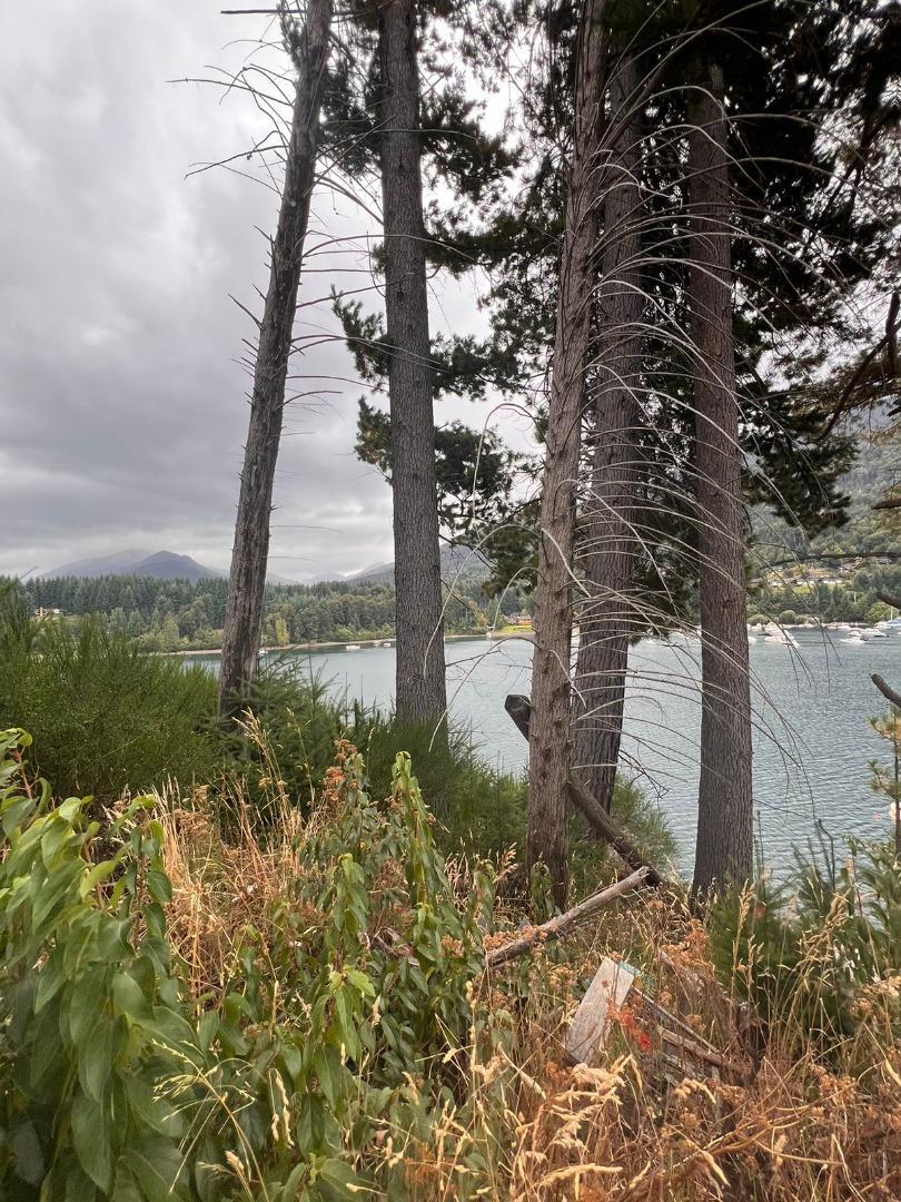 Excelente lote costa de lago Nahuel Huapi - Pnla Manzano