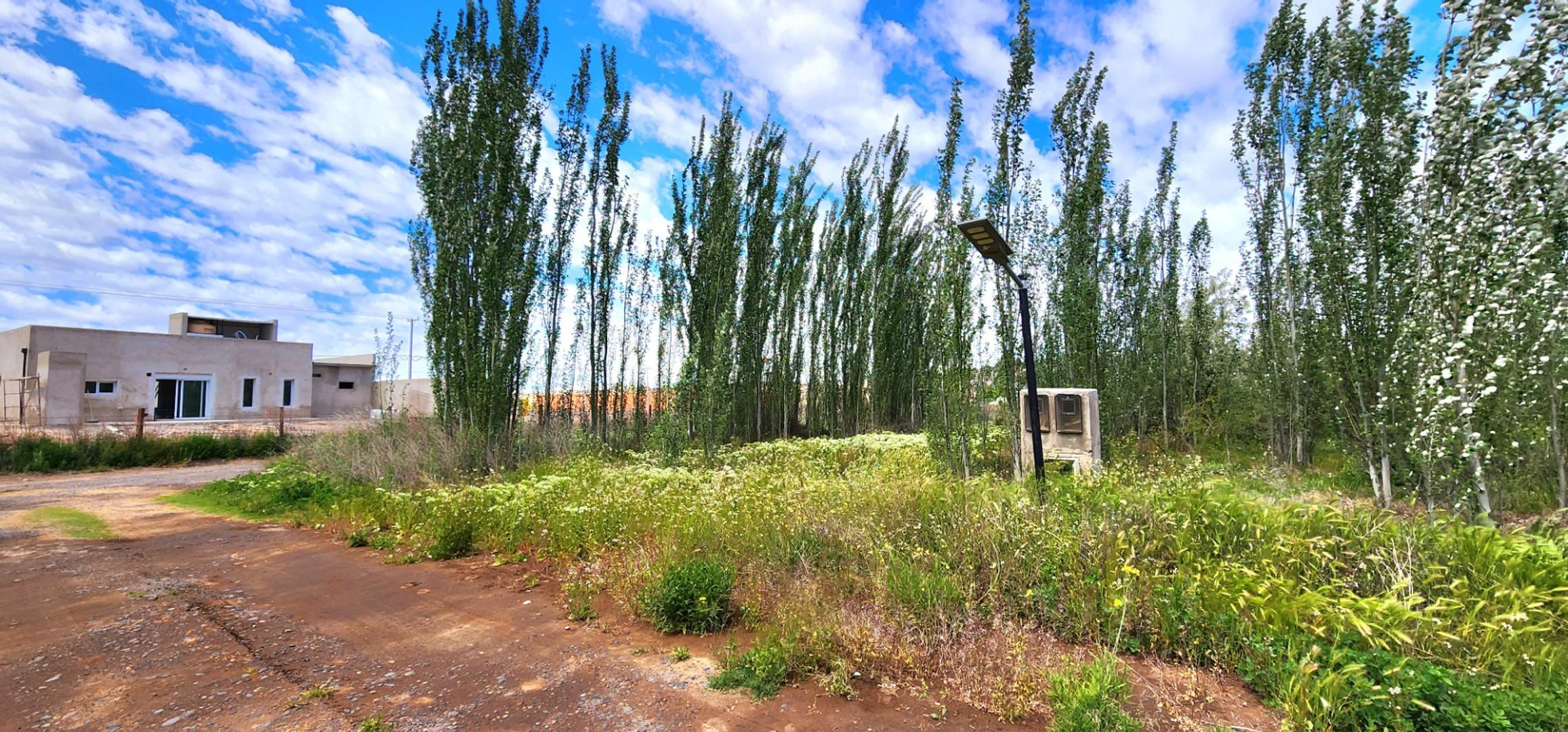 VENTA LOTE BARRIO CERRADO VERGEL