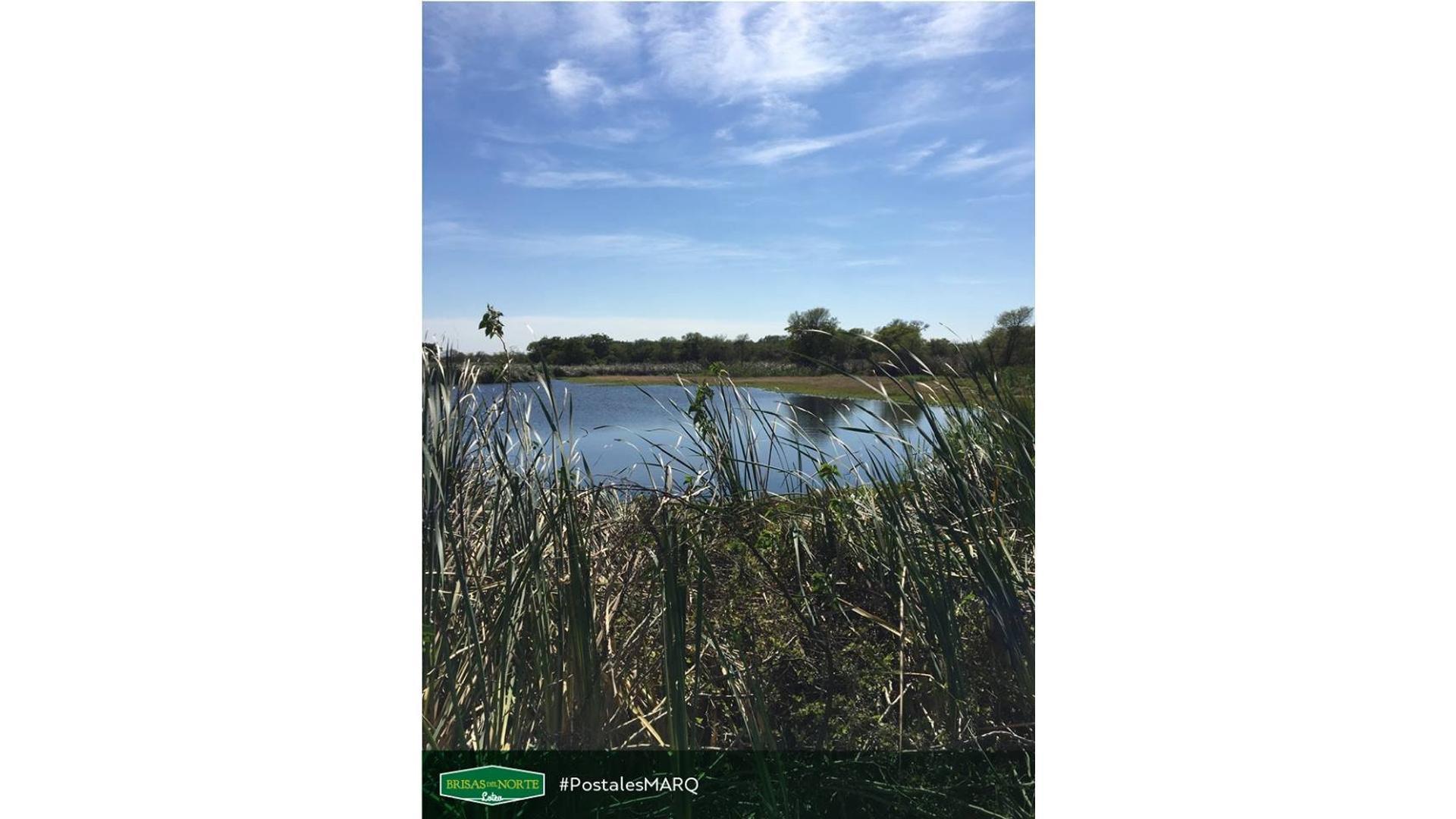 Terreno en Venta de 300,0 m2