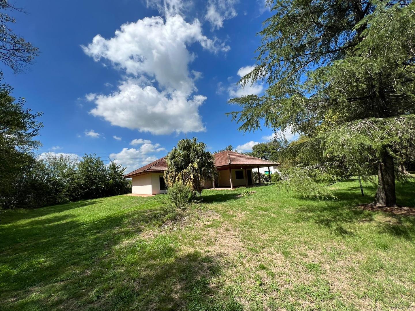 Antantida Argentina Y Calle 54