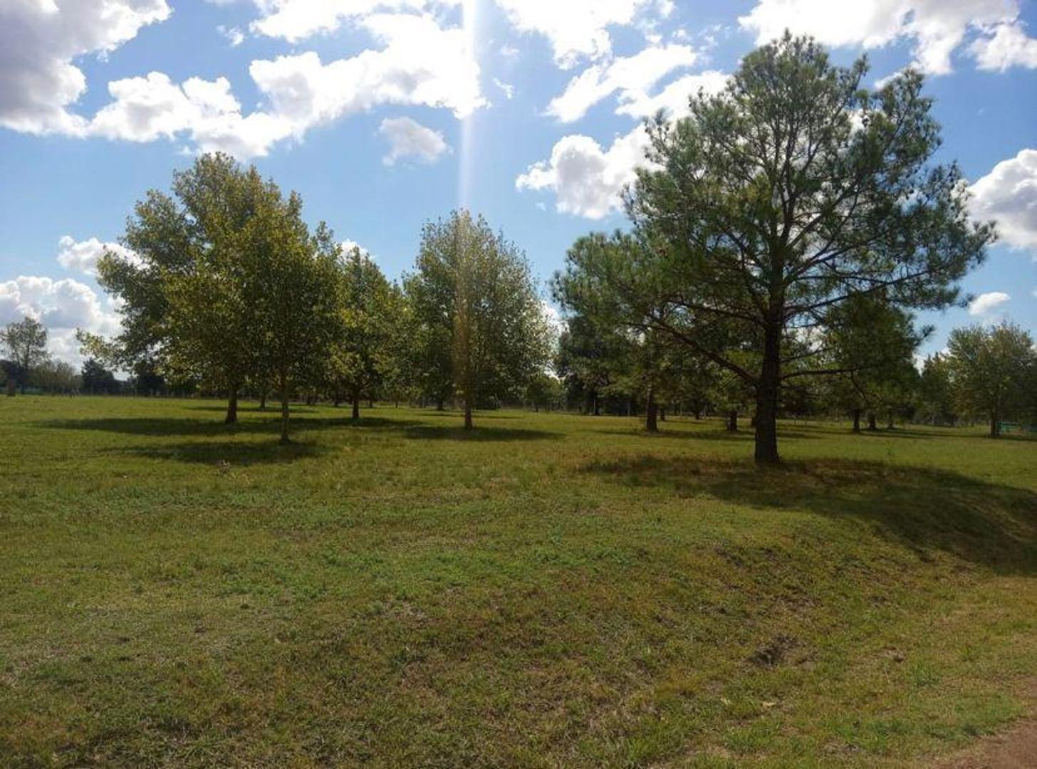 Terreno en Venta de 1050,0 m2