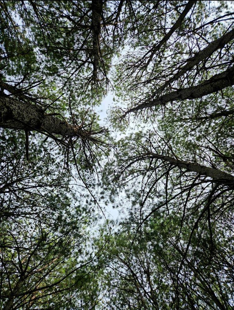 Terreno en Venta de 1500,0 m2