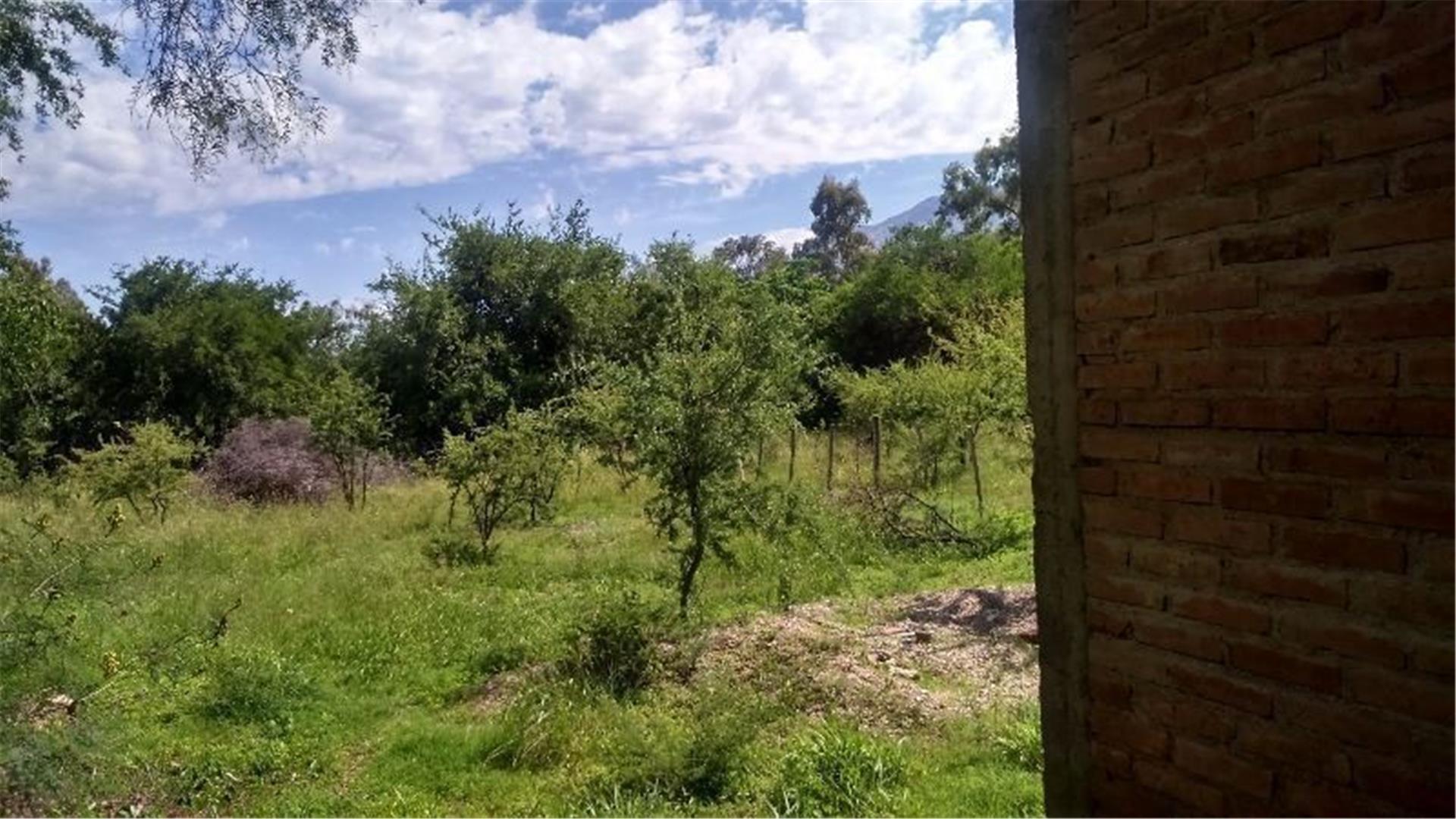 Terreno en Venta de 940,0 m2