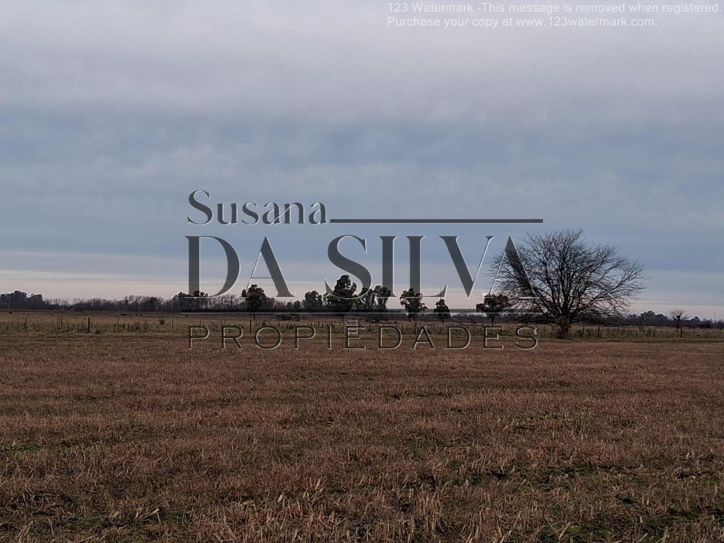 80 Ha. CAMPO AGRO-GANADERO. MARCOS PAZ