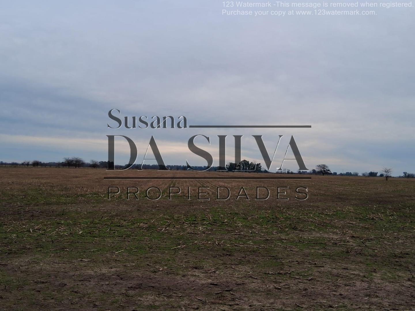 80 Ha. CAMPO AGRO-GANADERO. MARCOS PAZ