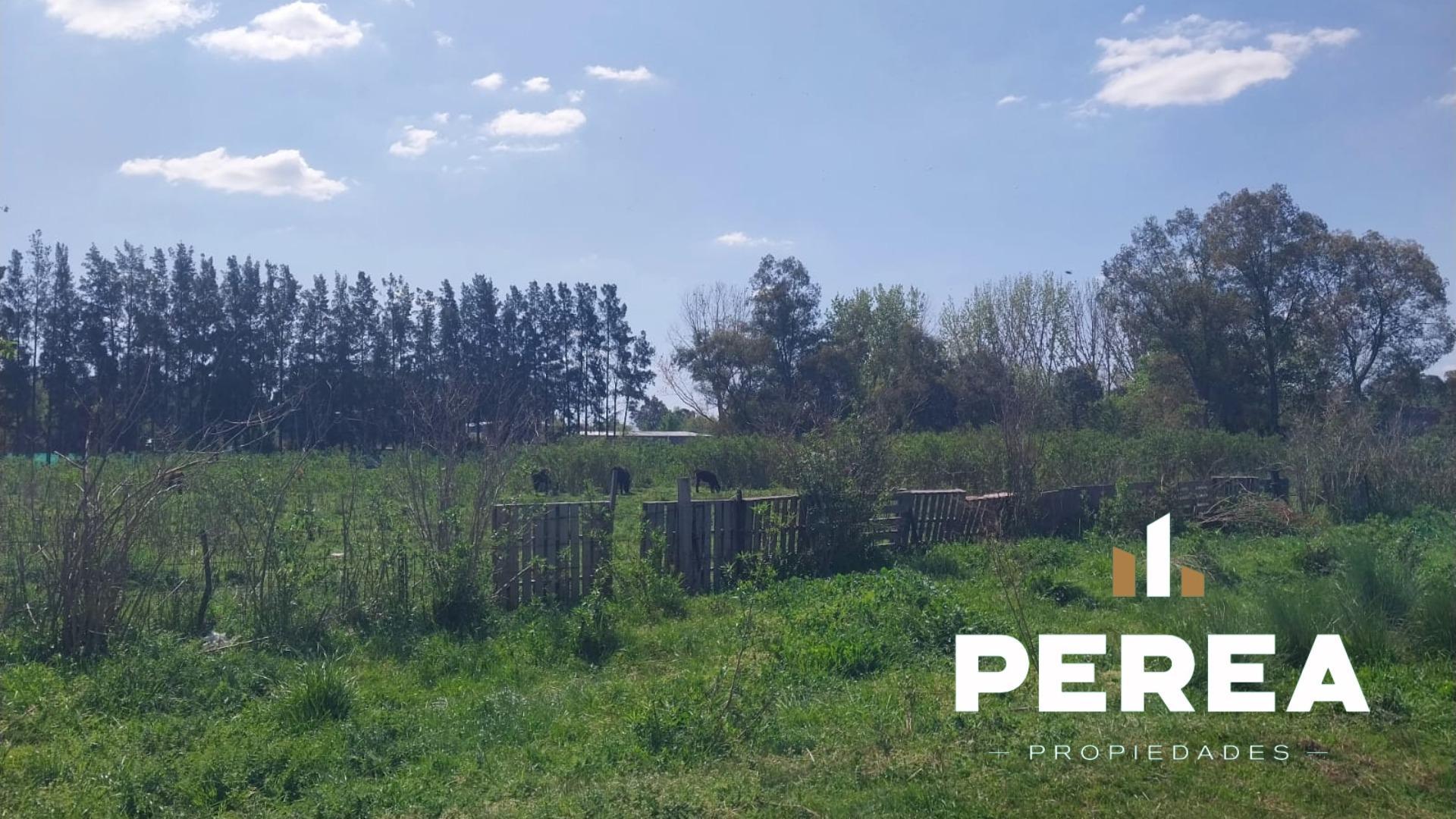 Terreno en Alquiler de 1000,0 m2