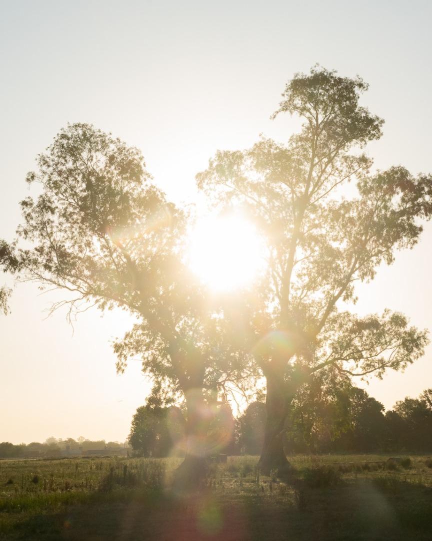 Lote de 600 m² en La Eugenia by Moradas – Naturaleza, seguri