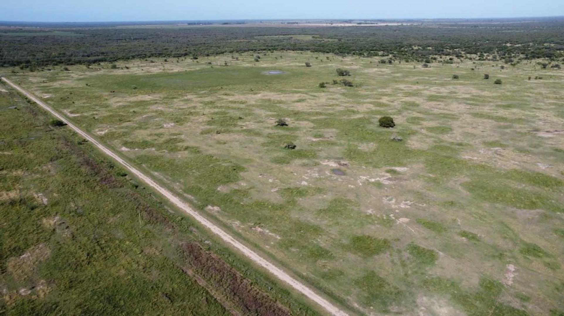 VENTA / CAMPO GANADERO 1385 HECTÁREAS / HUANQUEROS