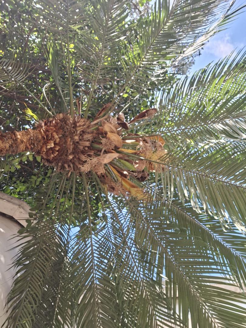 CASA DE ENSUEÑO EN MARÍA SELVA