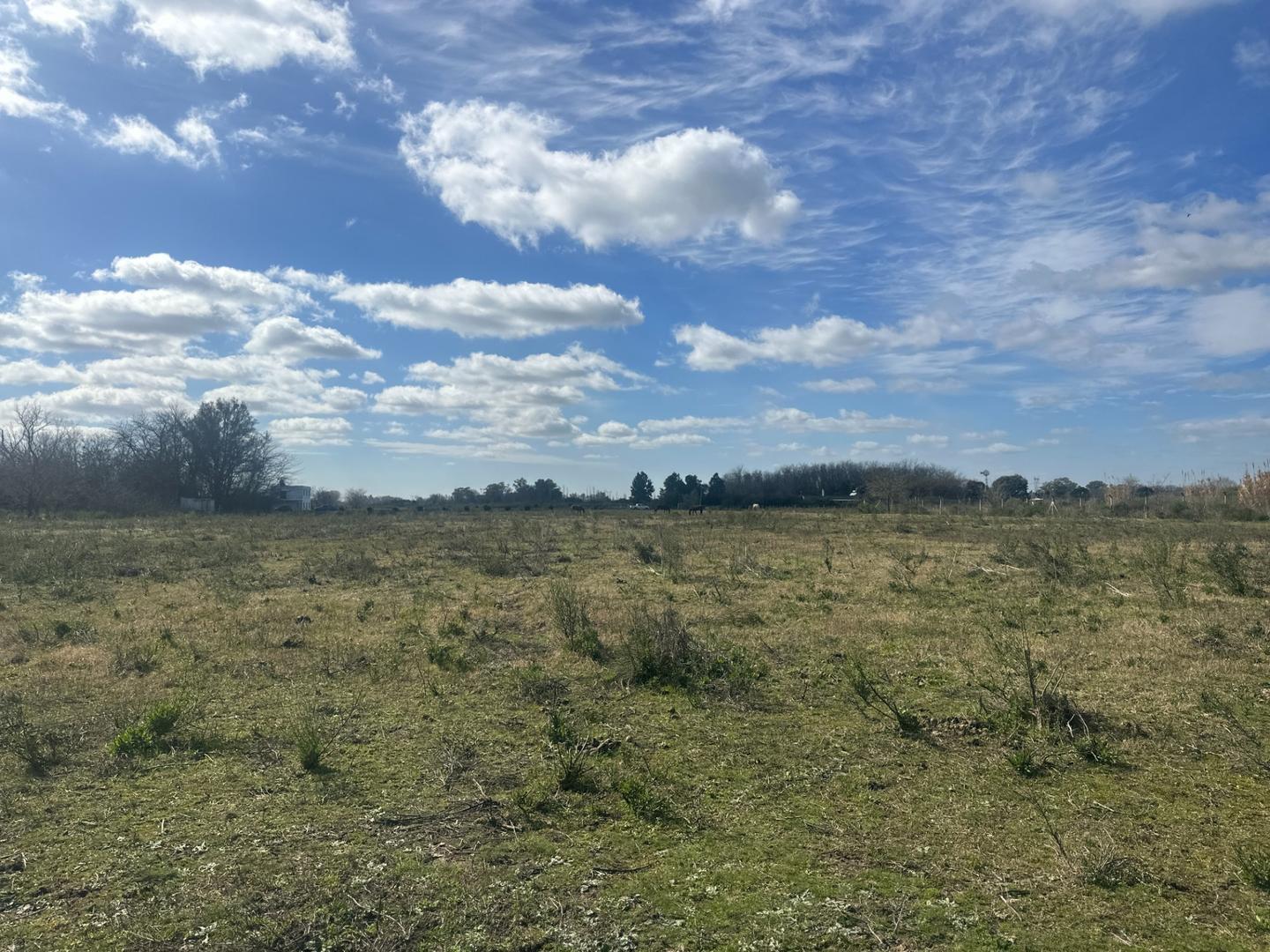 CAMPO EN VENTA PAVON CON CASA 4 AMB Y CASA CASEROS