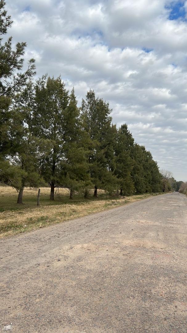 Cerrito Y Hernández