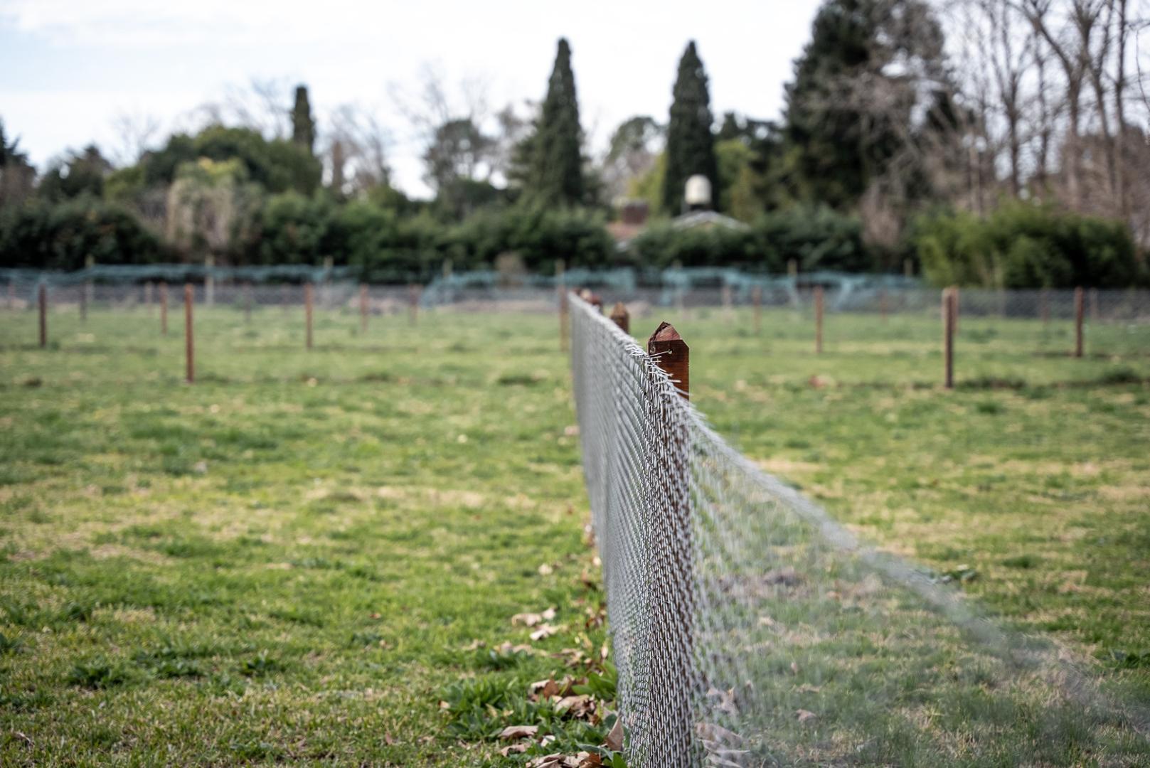 Parque Pero