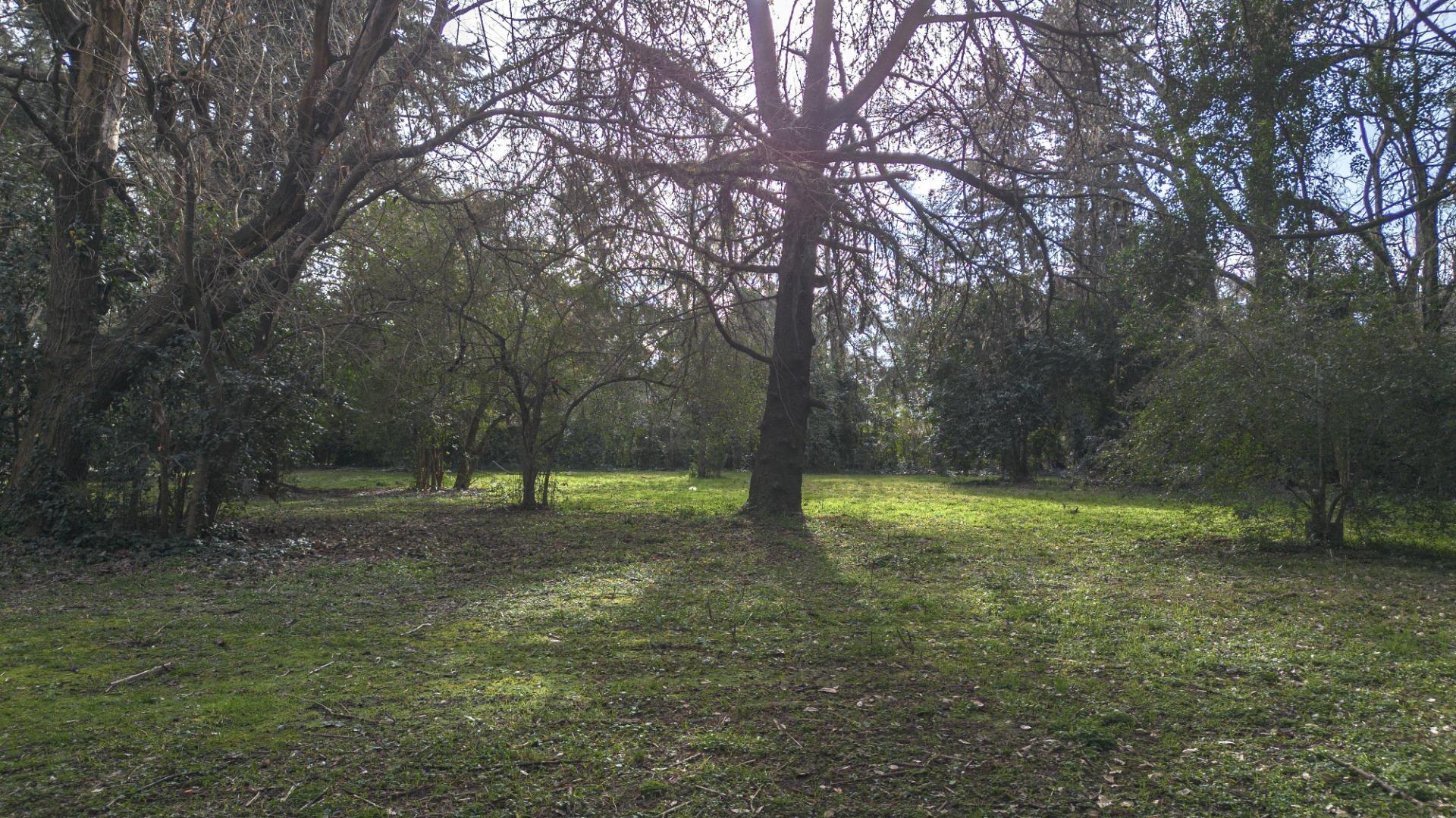 Terreno en Venta de 1620,0 m2