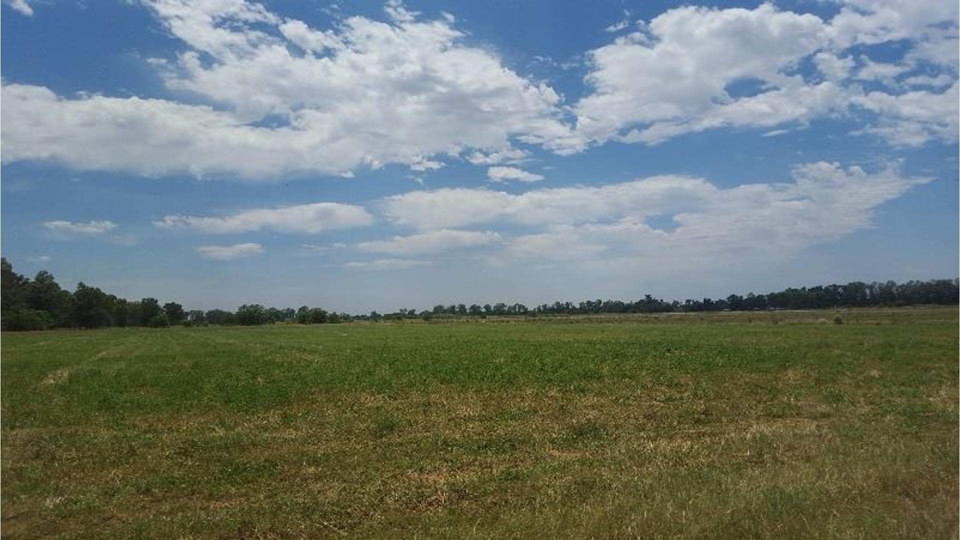 VENDE CAMPO DE 17 HECTÁREAS EN MARCOS PAZ