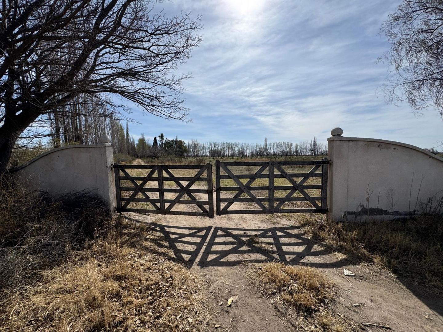 Venta Campo, , San Rafael, Mendoza | Argenprop