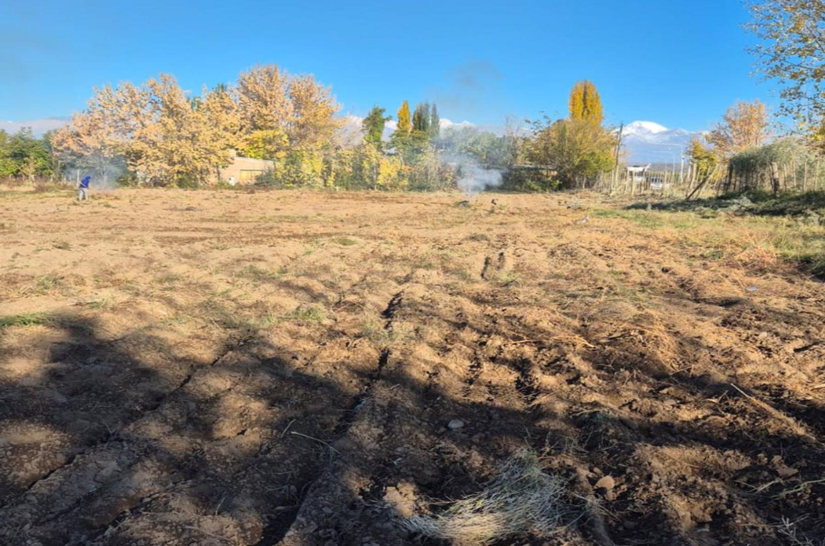 LOTE DE 478 m2.  TUPUNGATO