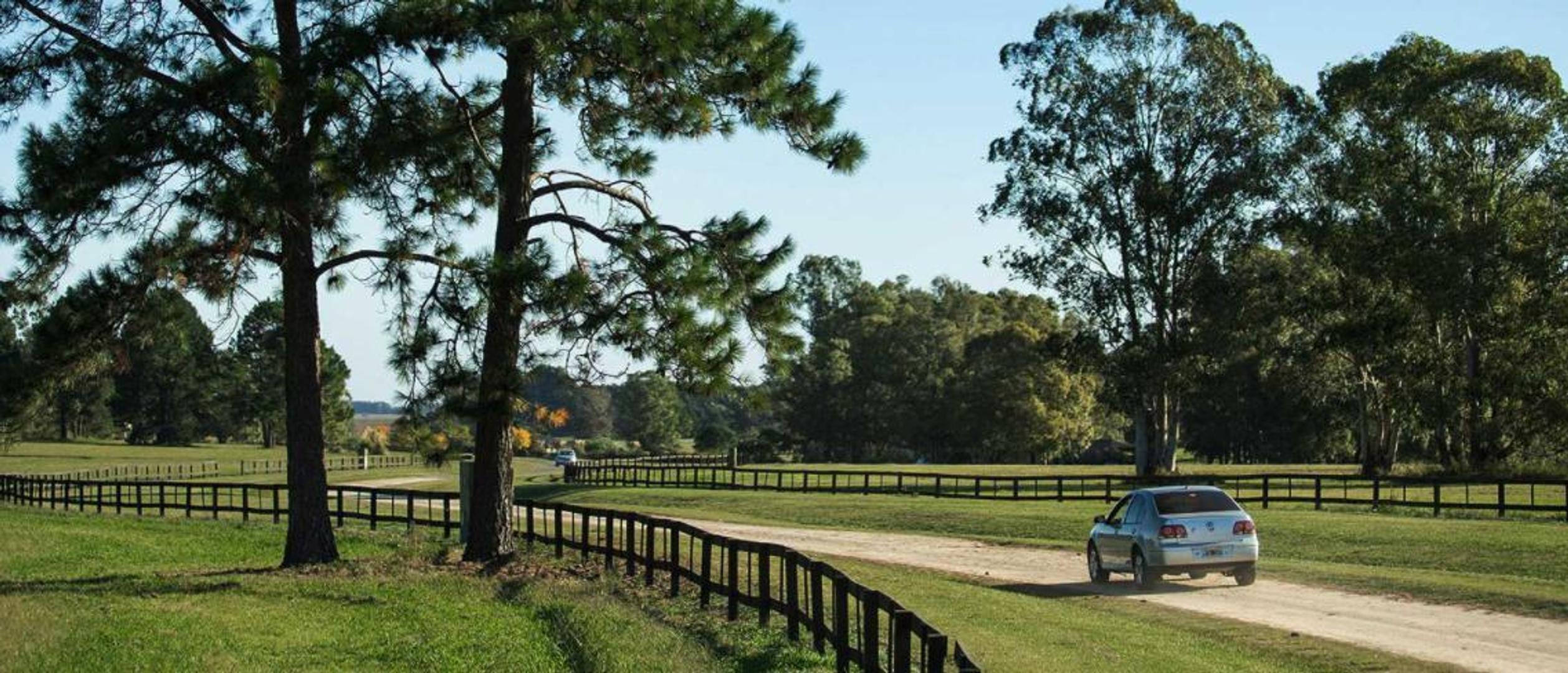 Terreno en Venta de 21884,0 m2