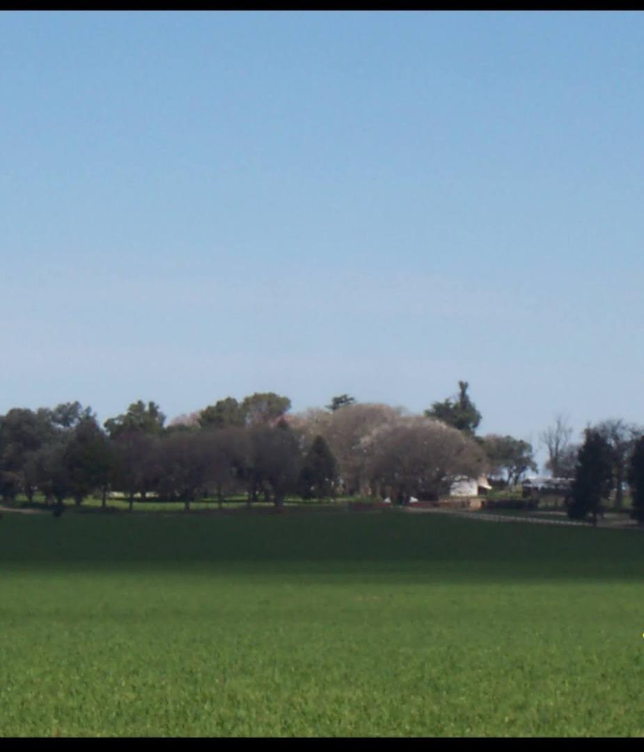 2000 hectareas en zona molino Doll