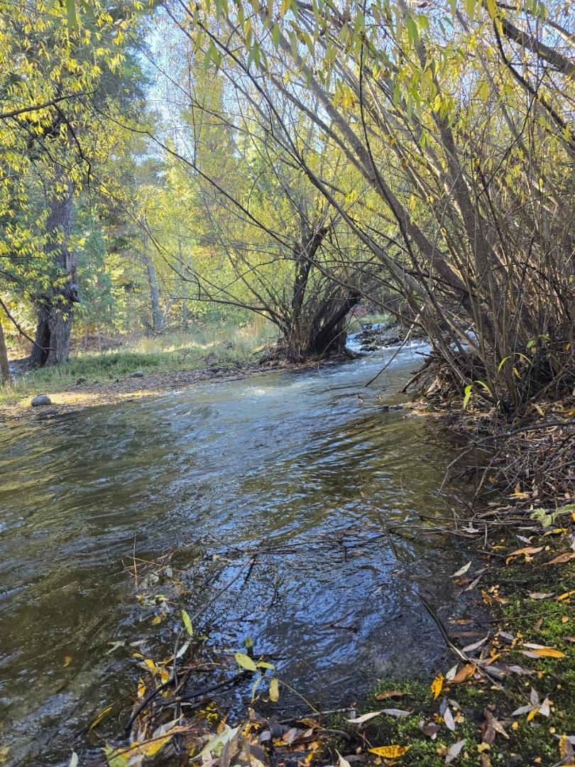 Exclusiva chacra en Ruta 40 – 7,5 Has con costa de arroyo