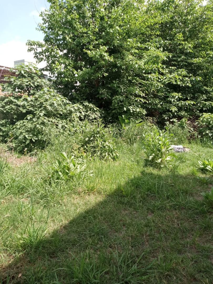 Terreno en Venta de 330,0 m2