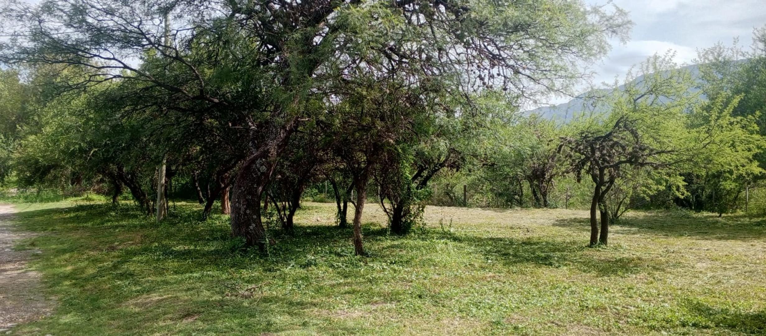 Lote Céntrico en Villa de Merlo! Arbolados  Financiado