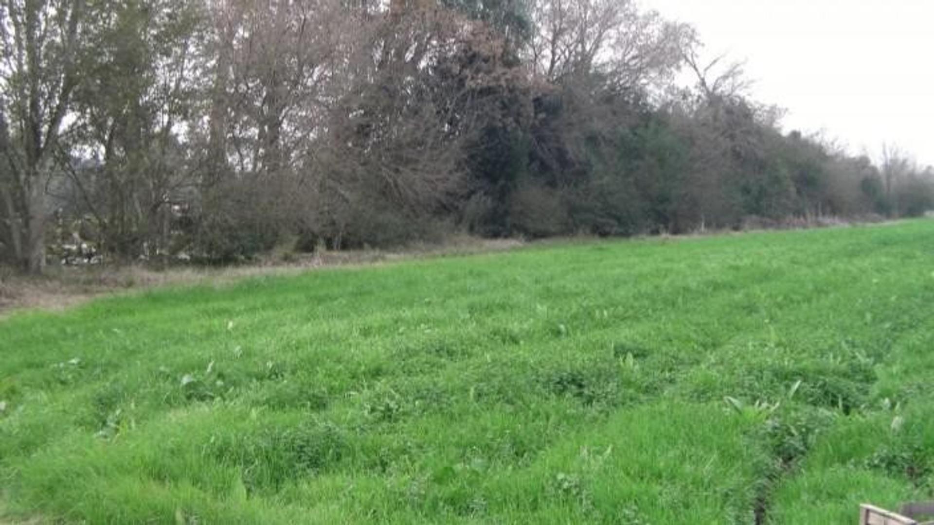 Terreno en Venta en Villa Astolfi, USD 220.000