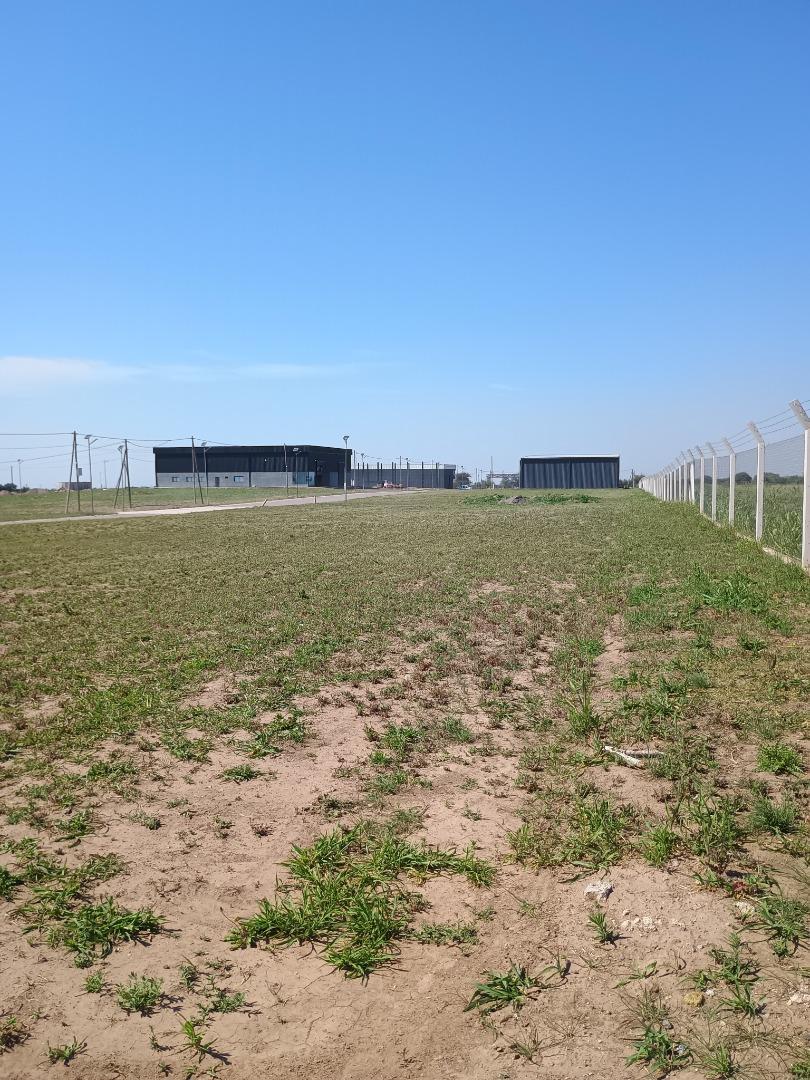 Camino Provincial T229 S/n