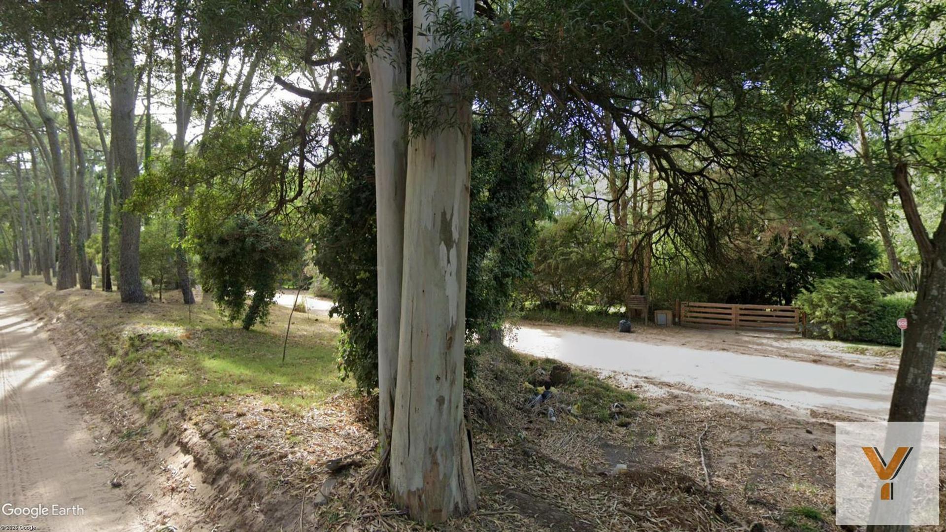 Casa en Alquiler de 3 dormitorios