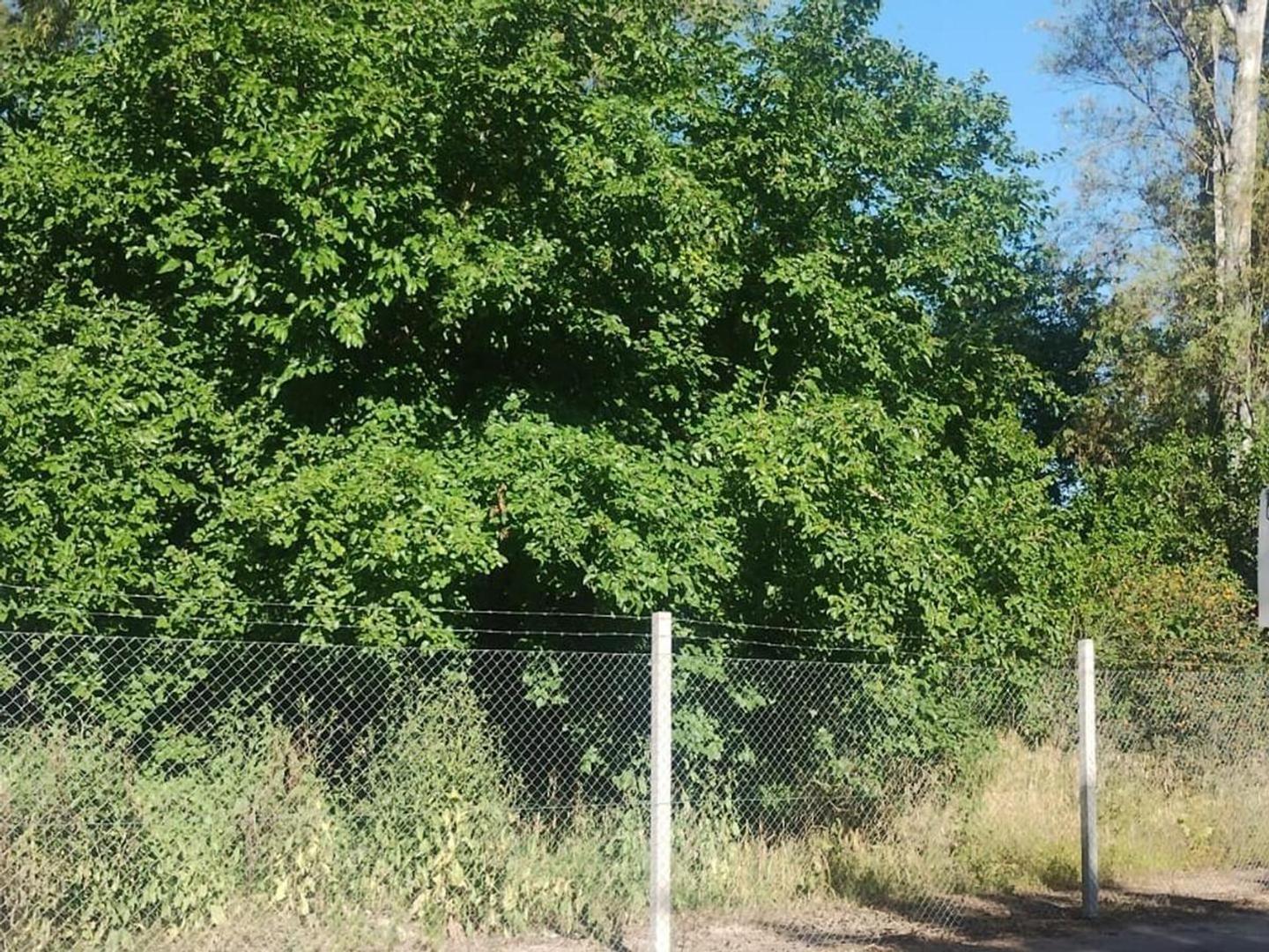 Lote En Venta En El Barrio Robles Del Monarca, Manuel Alberti, Pilar, Gba Norte