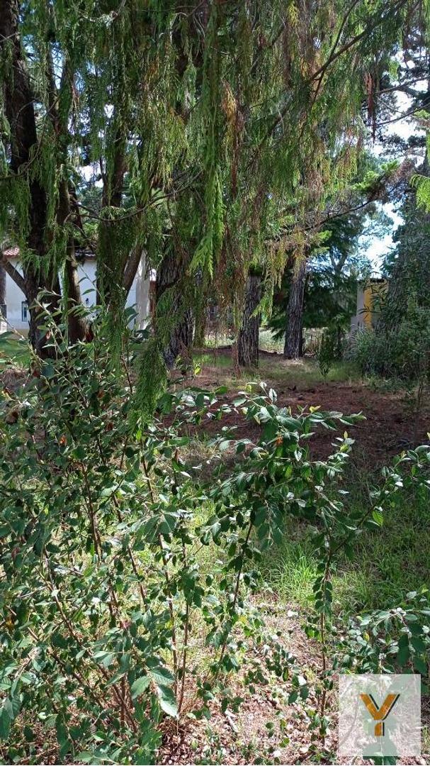 Terreno en venta - 475Mts2 - Mar Azul