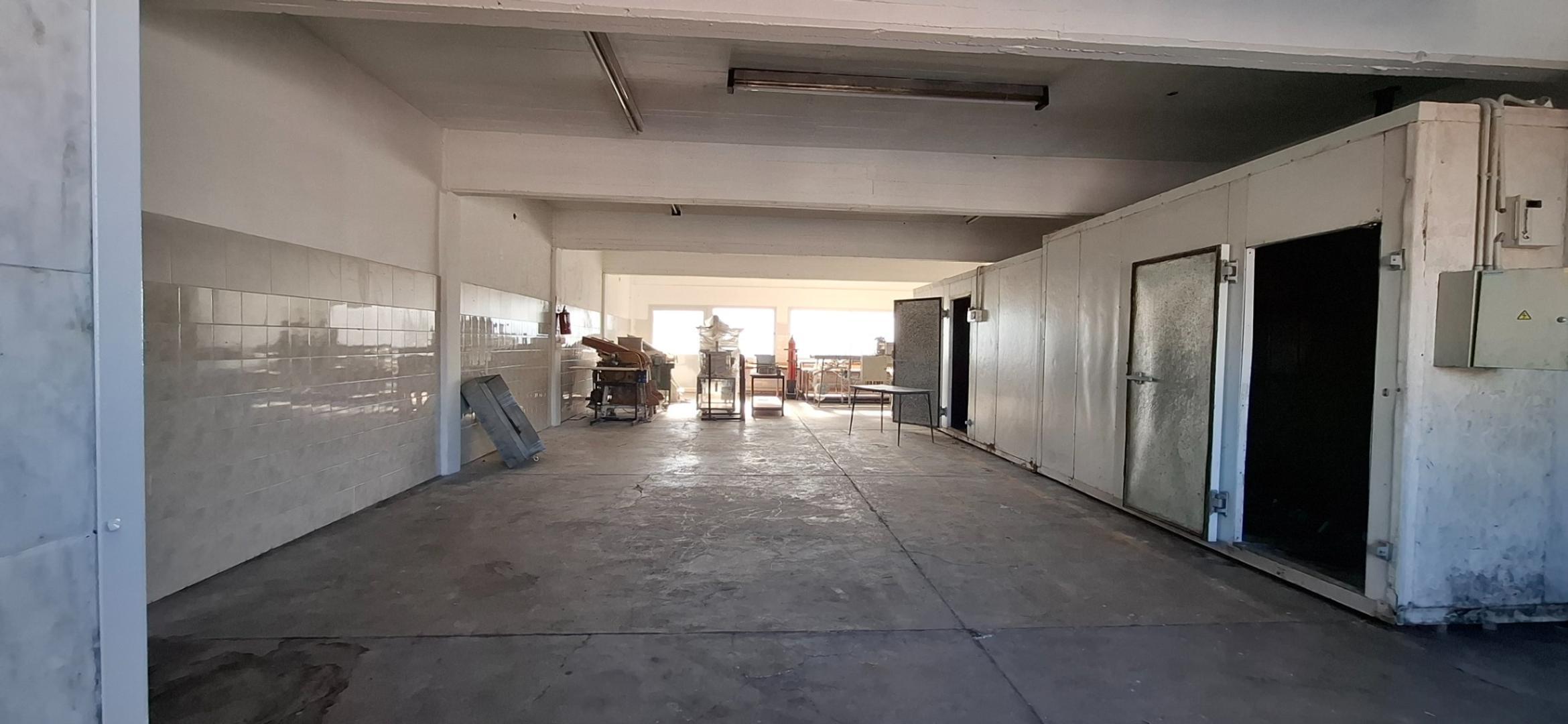 Local en Alquiler 24 años