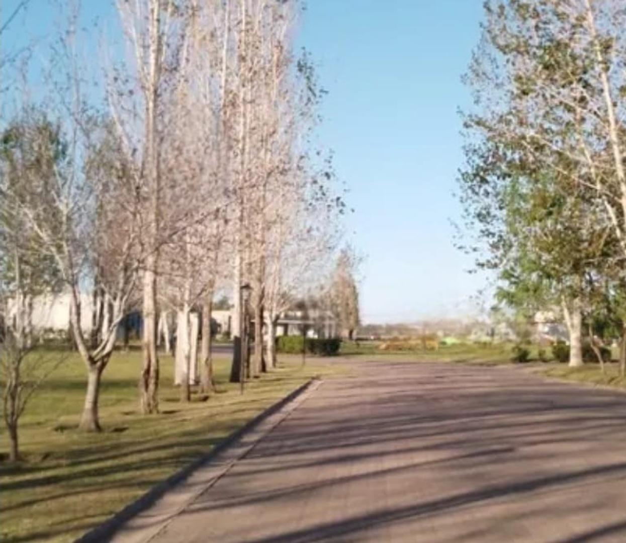 Terreno en Venta en Alejandro Petion, USD 43.000