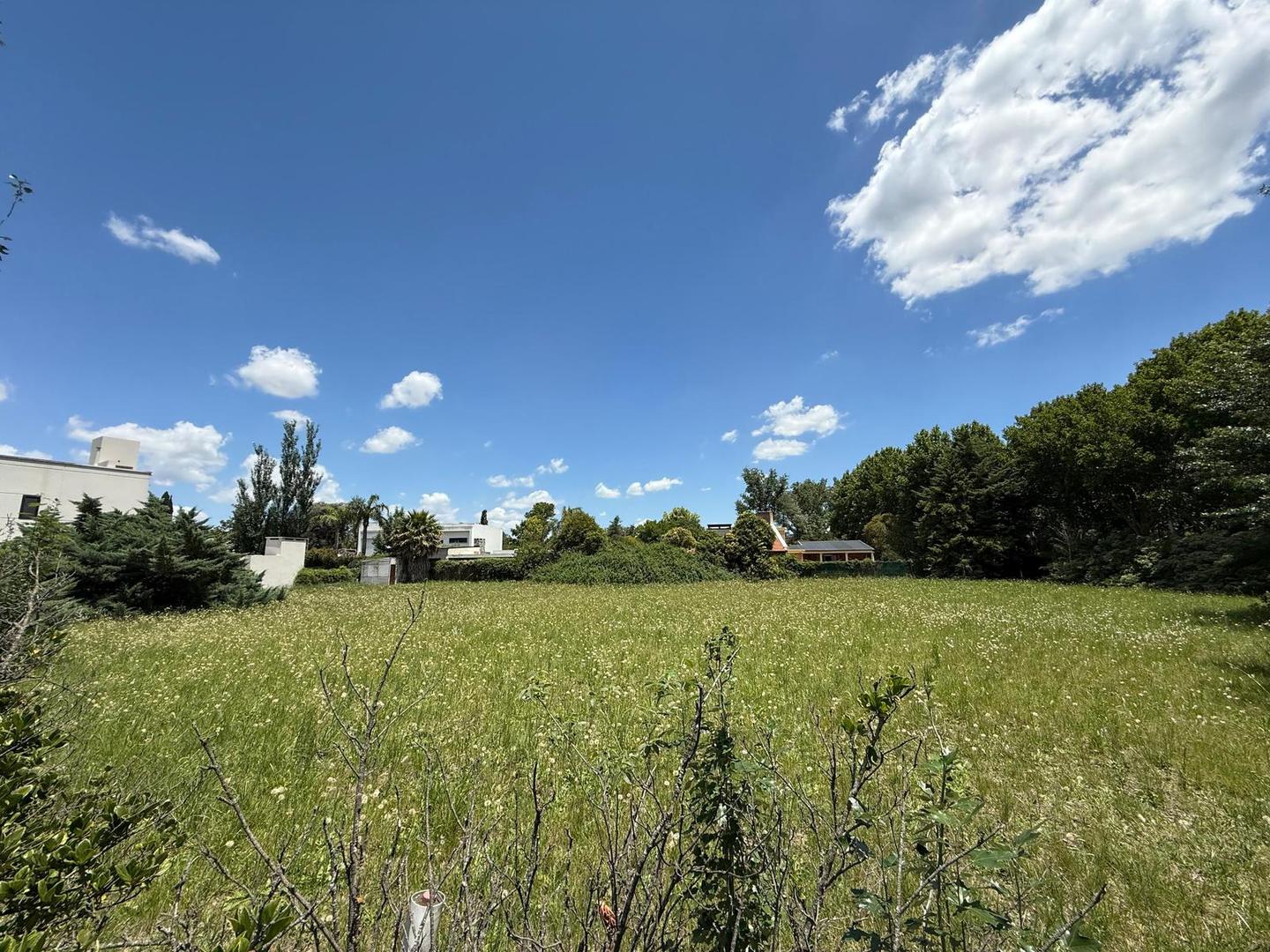 Las Araucarias esq. Los Fresnos