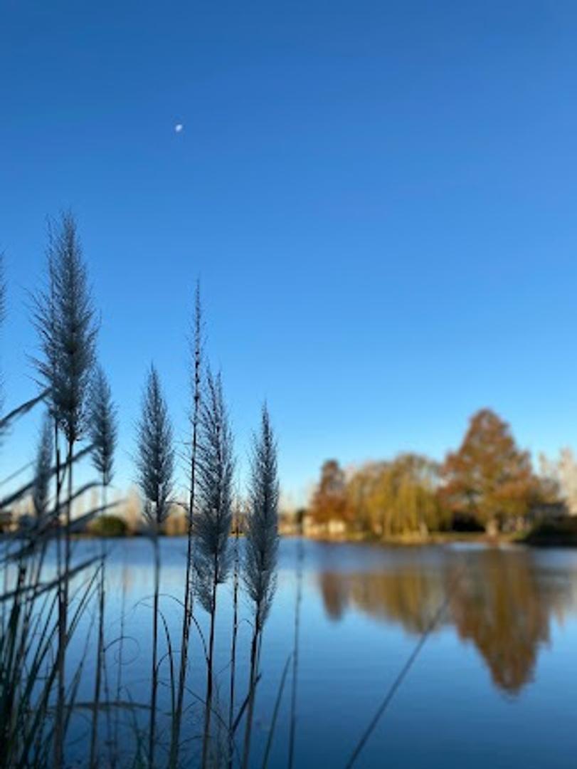 Terreno en Venta en El Metejon, USD 71.395