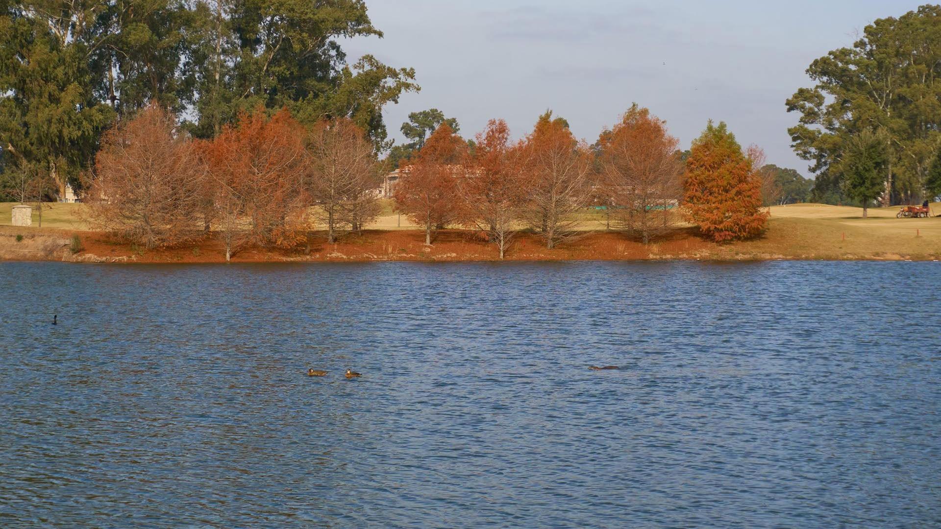 Terreno en Venta de 1265,0 m2