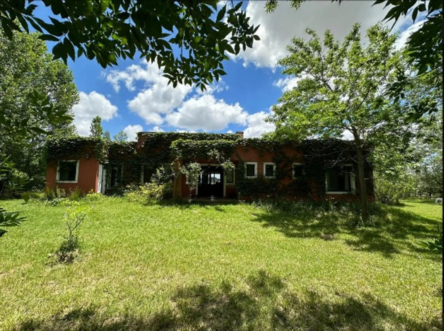 Club De Campo Harás