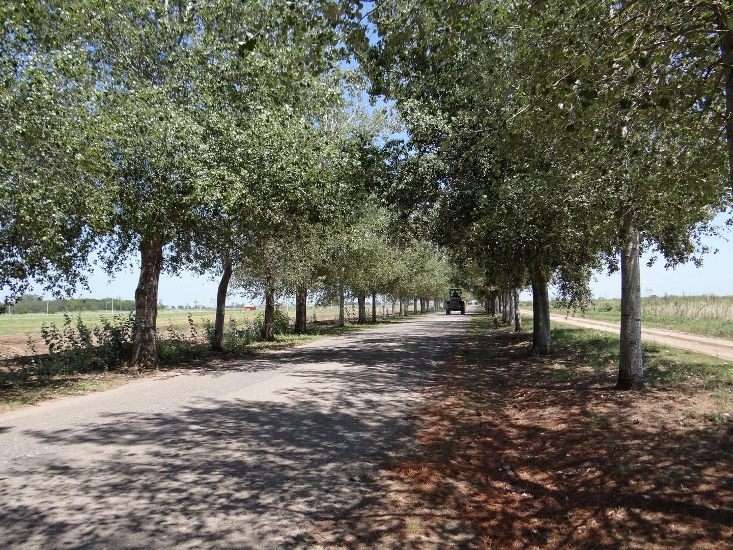 VENTA DE 10 LOTES EN VILLA ELENA OLIVEROS