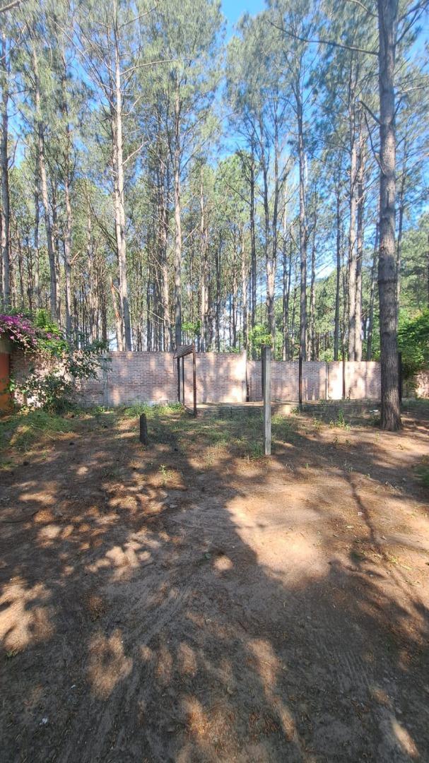 "OPORTUNIDAD" TERRENO CON CONSTRUCCION Y ANTEPROYECTO!