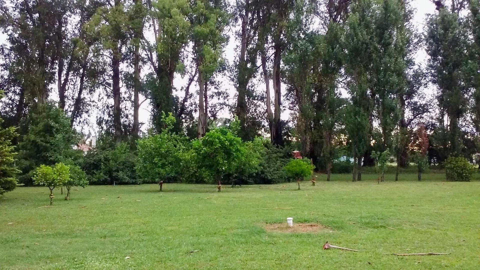 Casa 6 ambientes con 4 baños