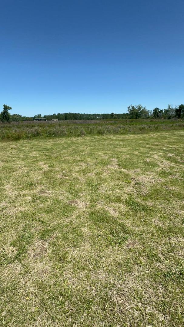 Venta Lote en BARRIO NAUTICO ALBARDON