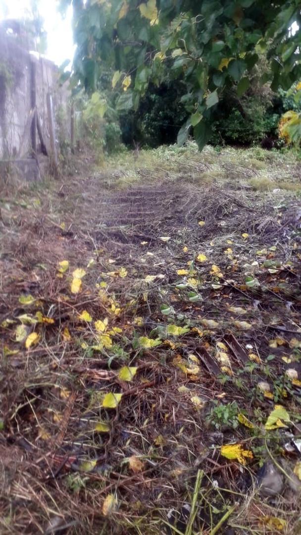 Automovil Club Argentino 100