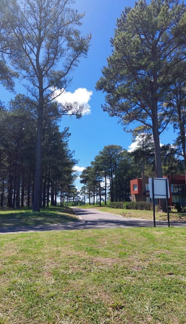 Terreno Lote  en Venta en Pinares CC, Exaltación de la Cruz,