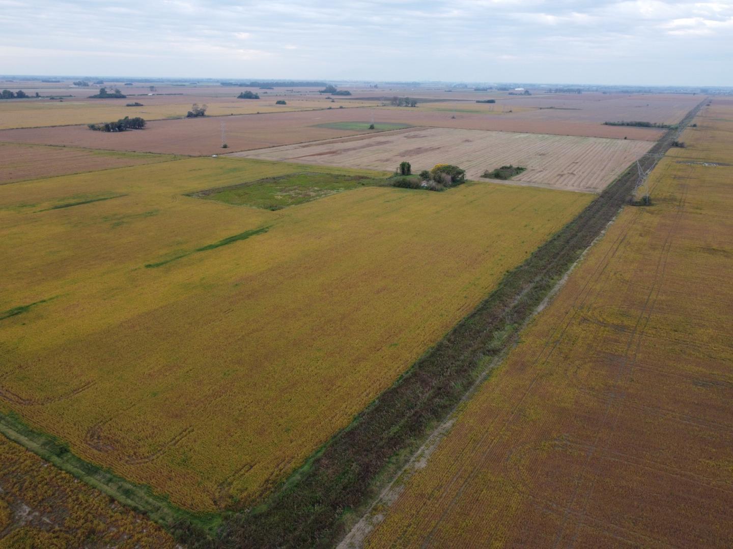 Campo 100 % agricola