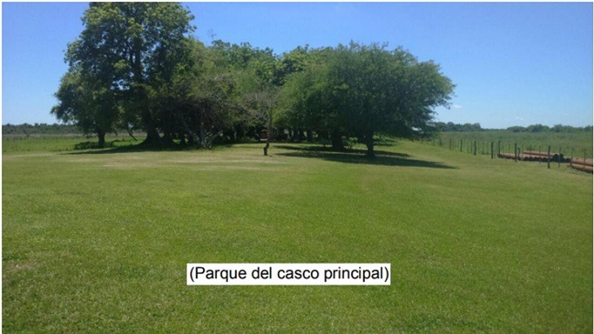 Campo 4168 Hectáreas Mixto  San Luis del Palmar Corrientes